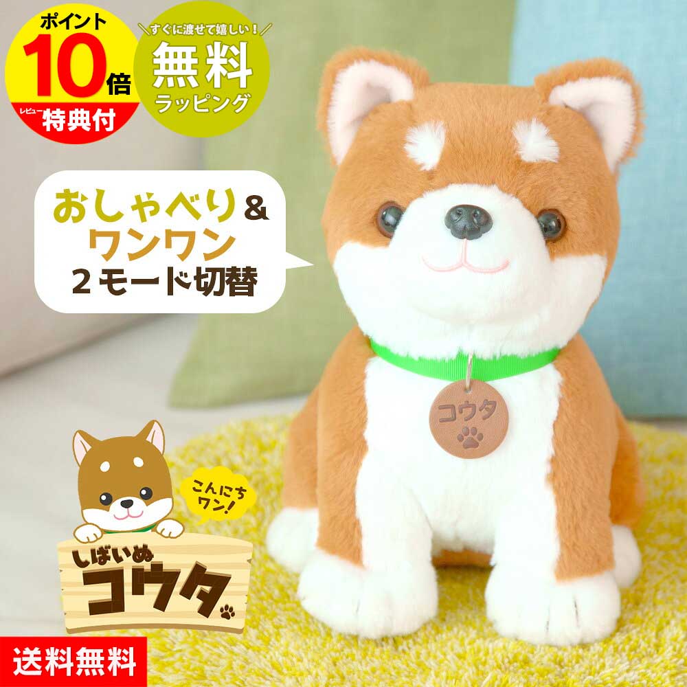 楽天市場】【ポイント10倍】しばいぬコウタ 柴犬コウタ バンダナ付き