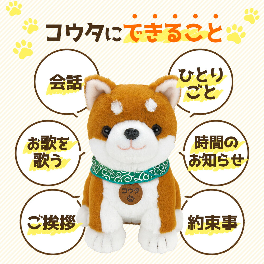 楽天市場】【ポイント10倍】しばいぬコウタ 柴犬コウタ バンダナ付き