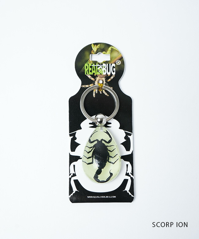 さくらプロフ必見様】専用 昆虫標本キーホルダー さくらプロフ必見様