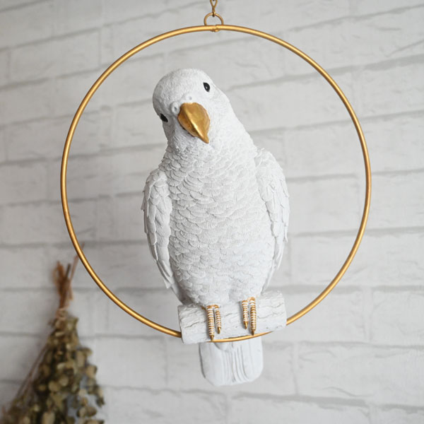 楽天市場】『 リング・コカットゥー 』 天井 窓 壁 壁面 吊り下げ