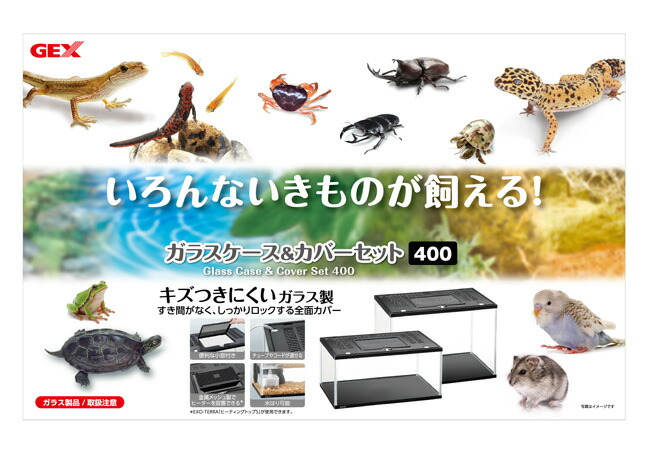 楽天市場】ガラスケース＆カバーセット 400High いろんないきものが