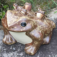 楽天市場】【ポイント10倍】信楽焼 13号五匹子付き蛙 （むかえる） お