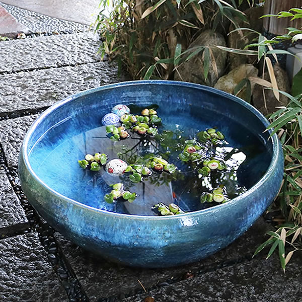 楽天市場】【38時間限定20%OFFクーポン配布中】スイレン鉢 大型 陶器