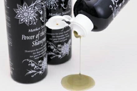 楽天市場】【2本セット】大地の力シャンプー 300ml（テンプル