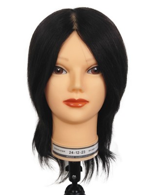 楽天市場】ユーロプレステージ 実技試験美容師本番用カットマネキン24