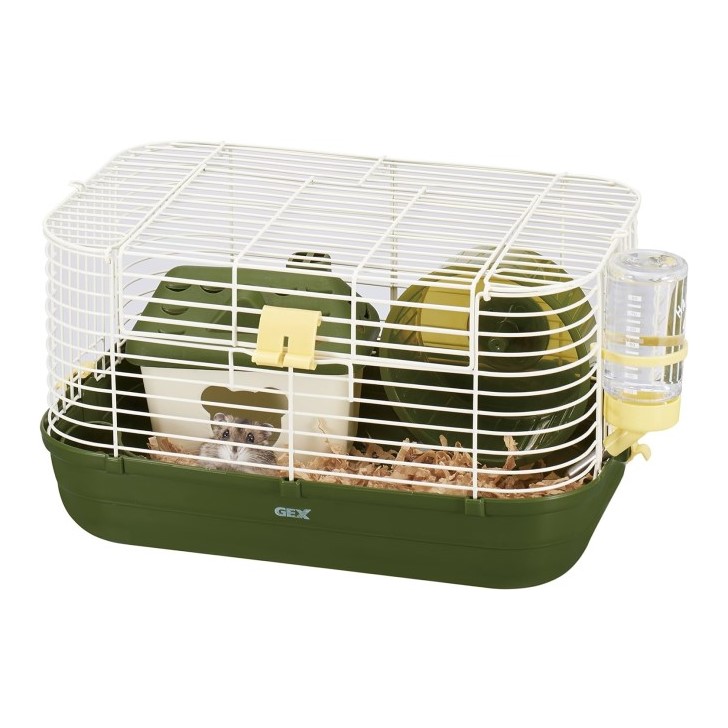 楽天市場】【2/25 00:00~23:59 ポイント5倍】○ジェックス ハビんぐ