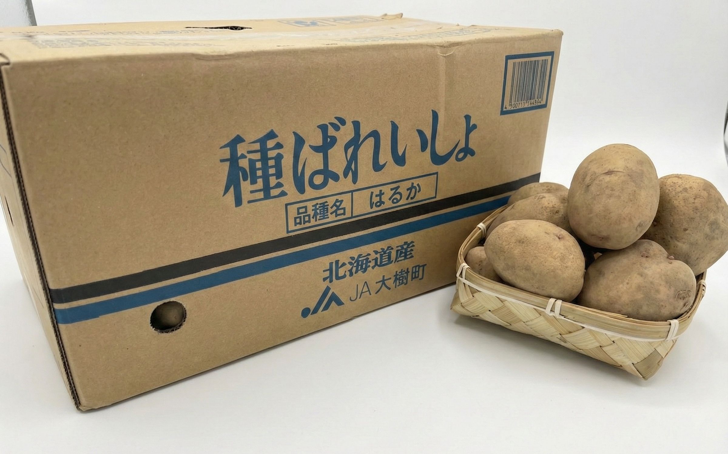 楽天市場】【令和7年 馬鈴薯種子】たねいも はるか じゃがいも種子