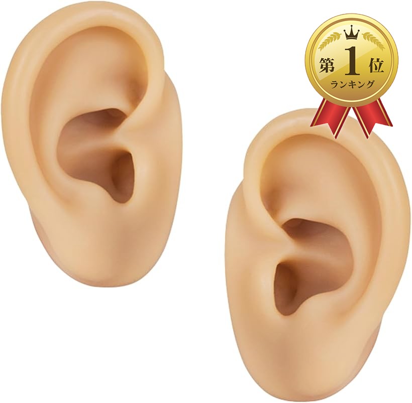 楽天市場】【楽天ランキング1位入賞】シリコン 耳模型 左右セット 耳