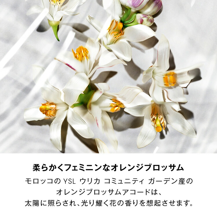 楽天市場】【公式】リブレ ロー ニュ / 50mL / 香水 フレグランス