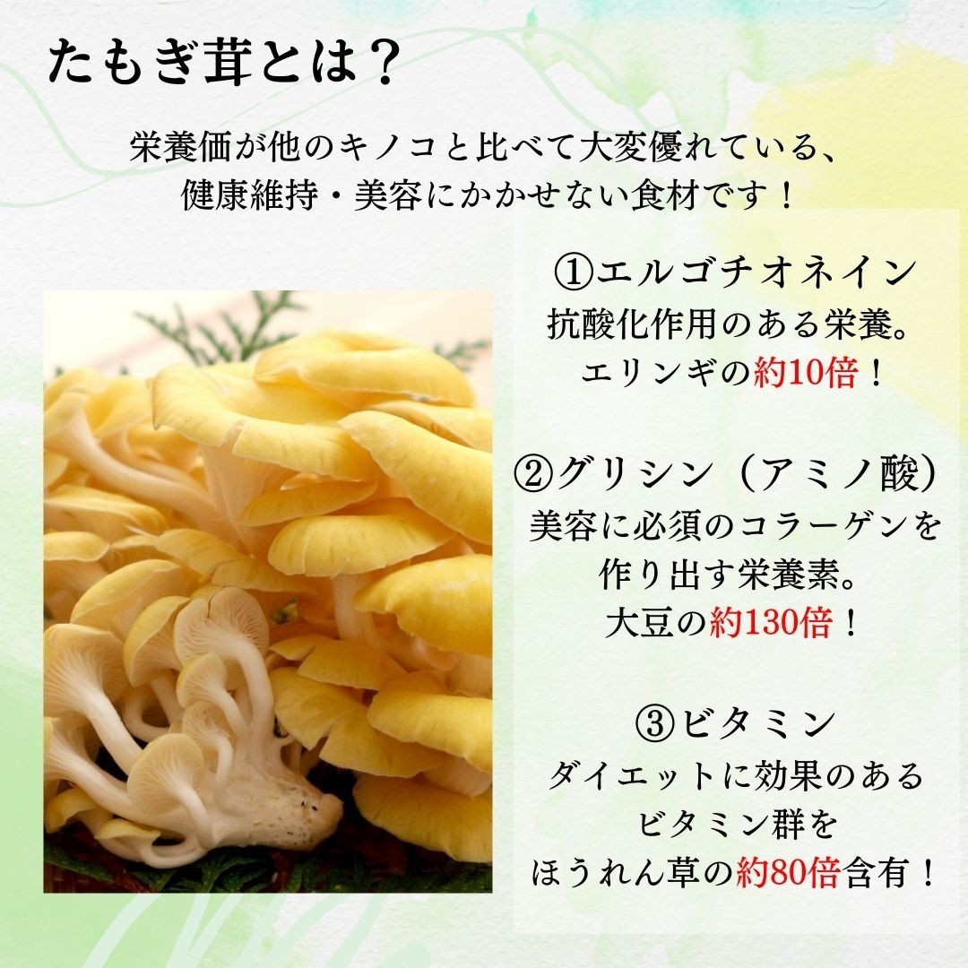 楽天市場】北海道産 たもぎ茸水煮 100g×20袋 送料無料 お取り寄せ