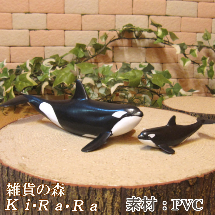 楽天市場】シャチの置物 鯱の親子 2点セット リアルな しゃち