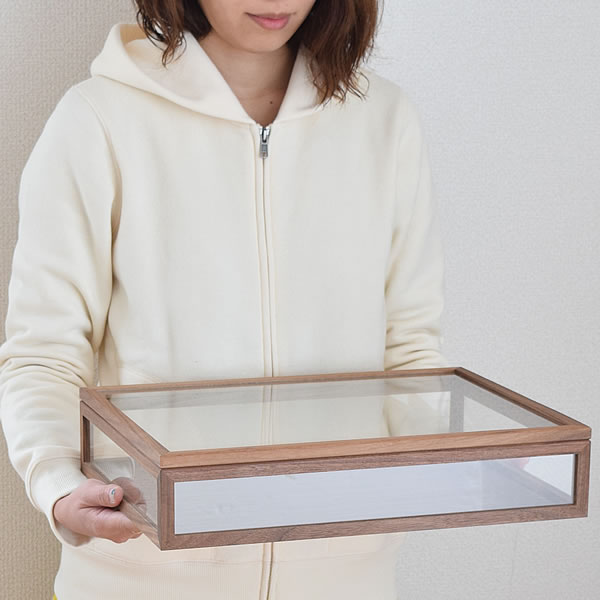 楽天市場】【3月1日はポイント最大10倍祭】ジュエルボックスL