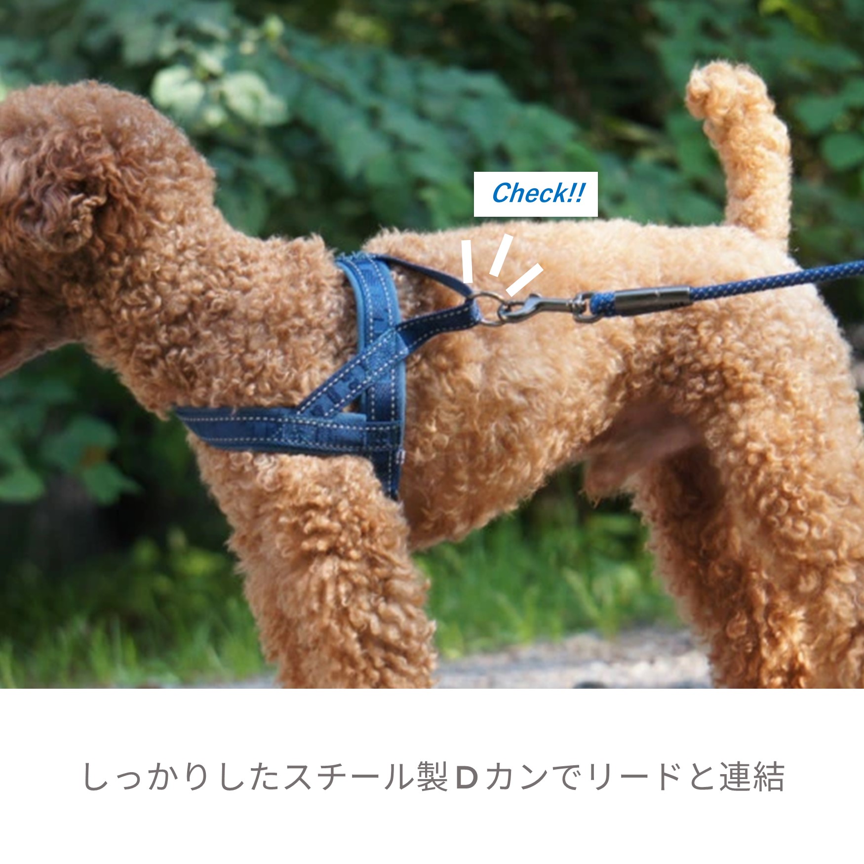 楽天市場】【カジュアルシリーズ】フィンランドのドッグブランド