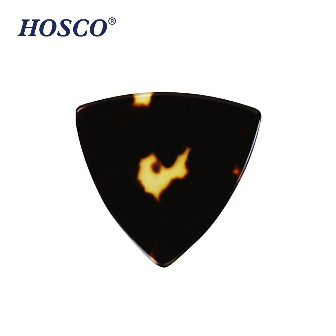 本鼈甲」の人気商品一覧 | 安い商品を通販サイトから探す - 価格.com