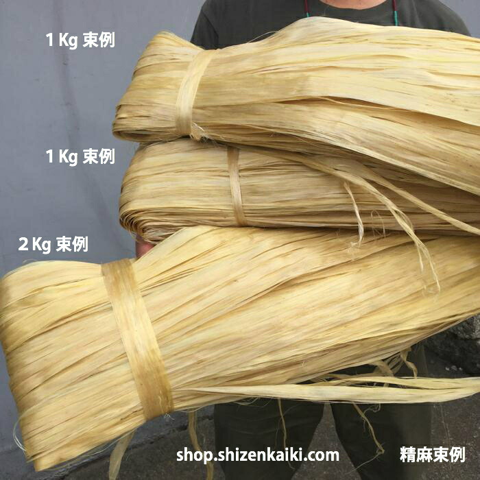 楽天市場】予約販売【国産】野州麻ブランドの素晴らしい最特上級の精麻
