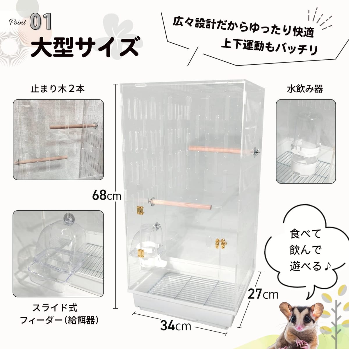 楽天市場】MINORITY DESIGN フクロモモンガ 360度見渡せるアクリル