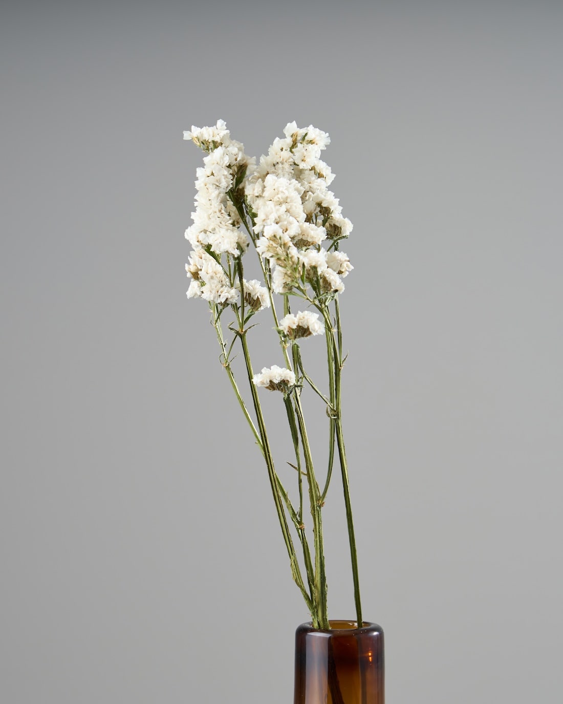 スターチス 通販｜ドライフラワー・スワッグ専門店 土と風の植物園