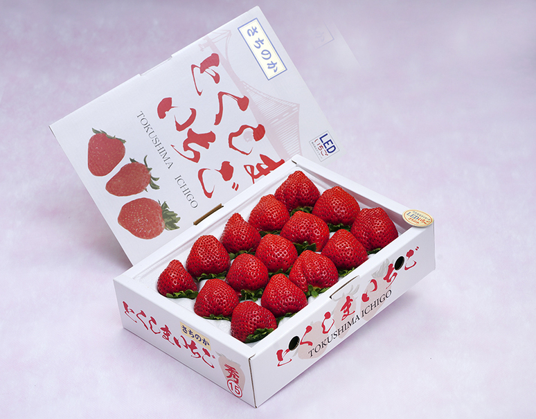 竹内農園 LEDいちご「とくしまいちご（品種 さちのか）」徳島県産 約