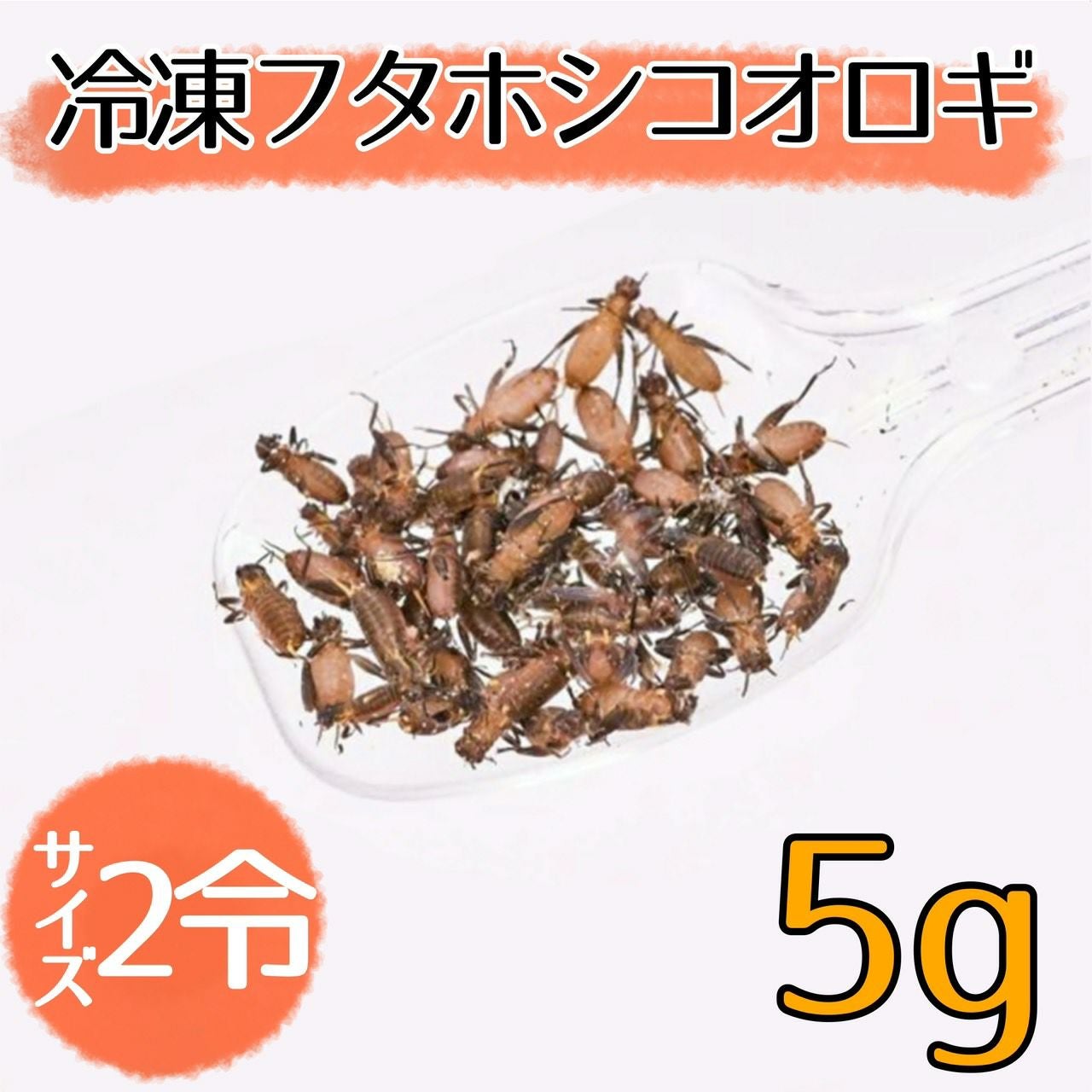 NEW【冷凍餌】フタホシコオロギ 2令 5g | 月夜野ファームの通販