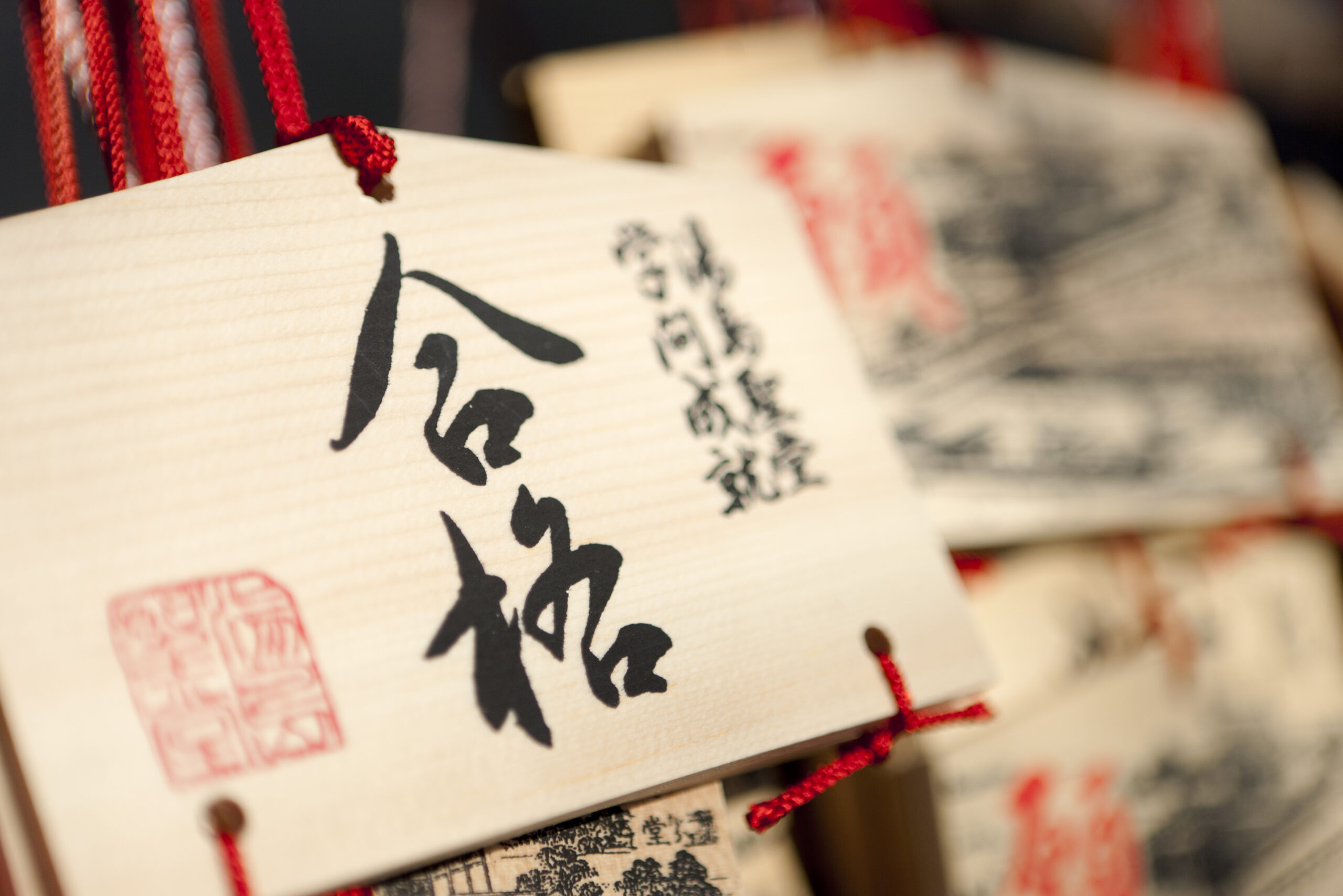 筑波大受験生向け】筑波大学推薦入試合格体験記～偏差値60前半の高校