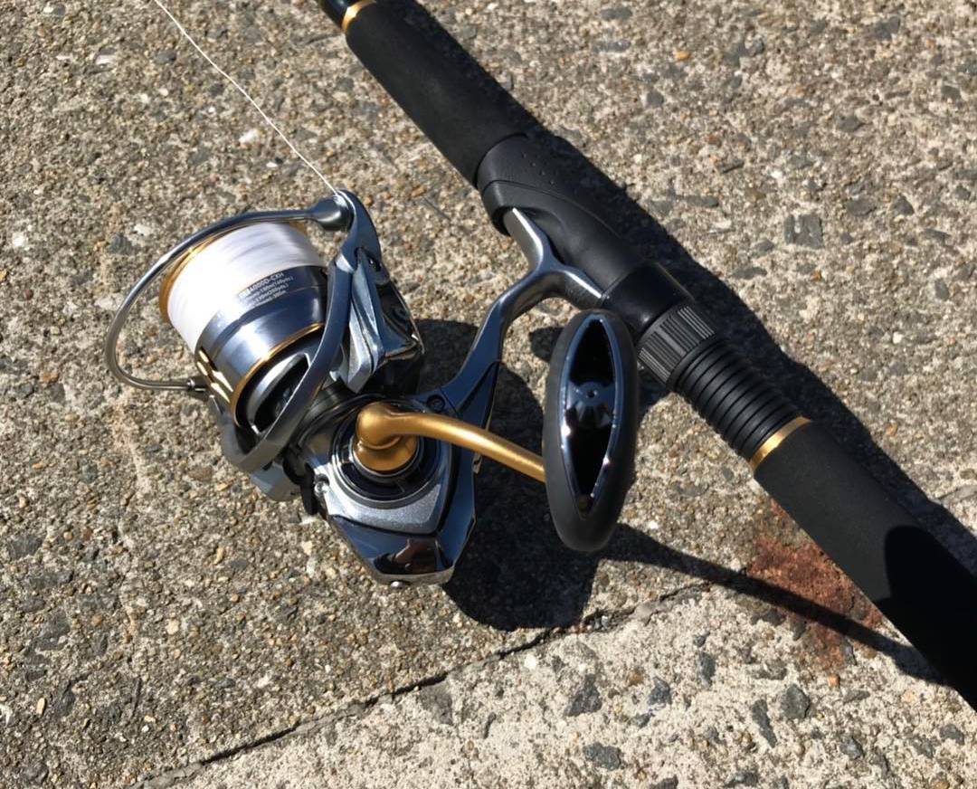 18 フリームス LT4000D-CXHのスペックとインプレ | 釣りクラウド