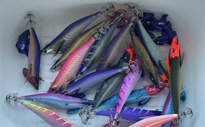 ティップランエギングは専用エギが必須？ 陸っぱり用エギ流用術を解説