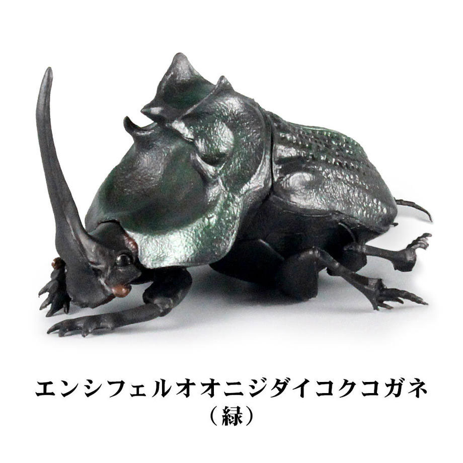 1/1 フンコロガシ 【1BOX 4個入】【4582361785162】｜SO-TA