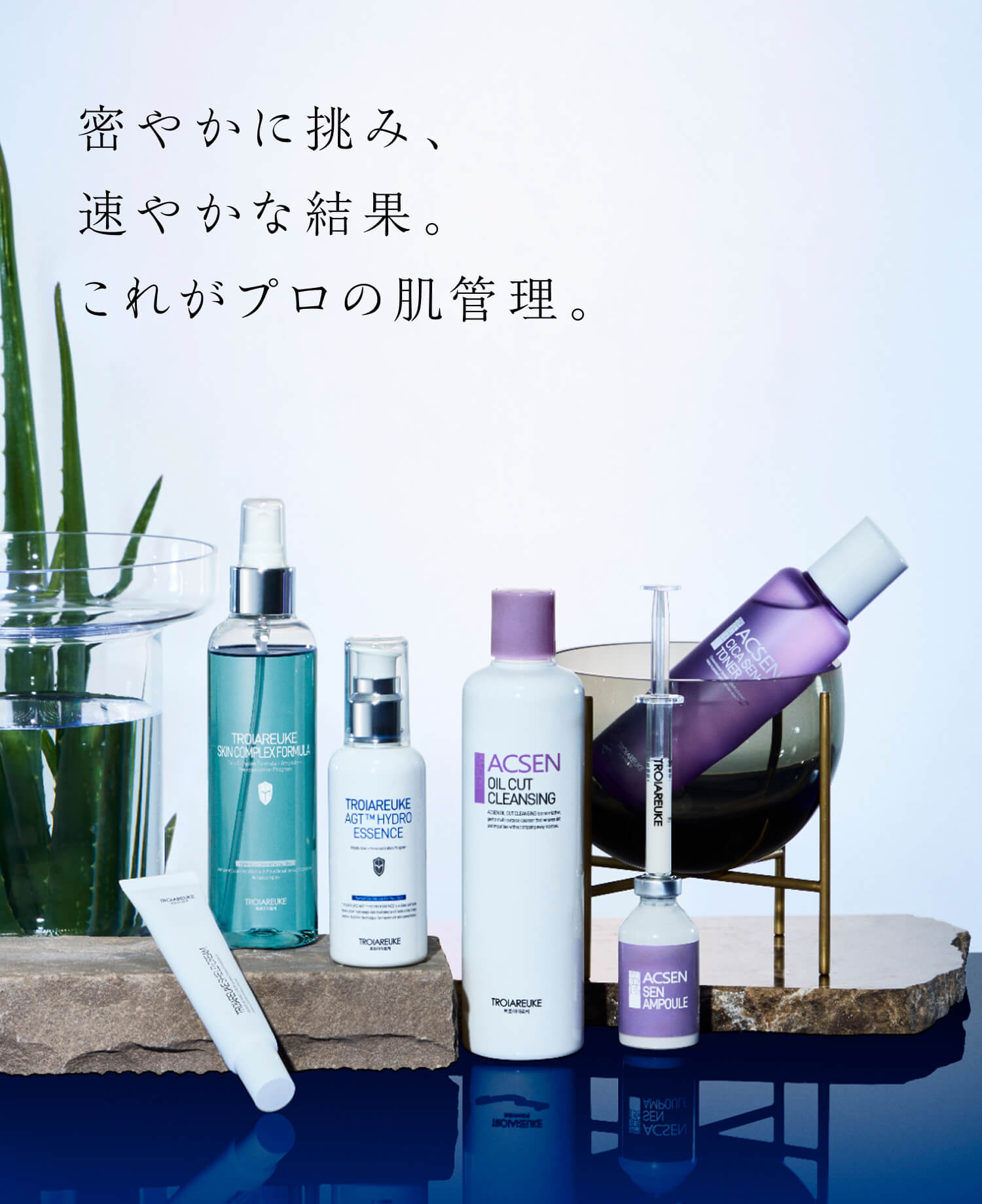 TROIAREUKE公式｜トロイアルケ