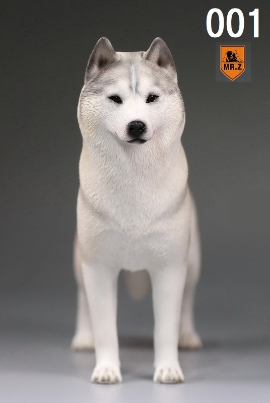 Mr.Z 1/6 Siberian Husky