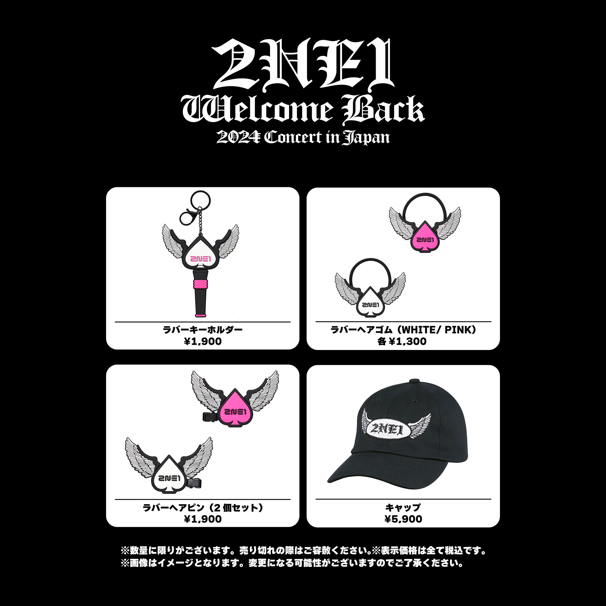 2024 2NE1 CONCERT [WELCOME BACK] IN JAPAN』Cafe & Shop | NEWS