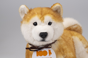 秋田犬 HACHI ハチ EX ハチ公生誕100周年記念・限定品（2023.4発売