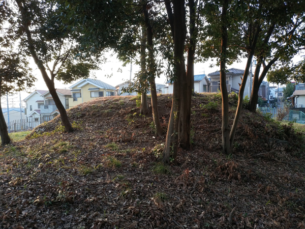 庭鳥塚古墳｜工事で偶然発見された未盗掘の古墳〜羽曳野市〜 | 南河内