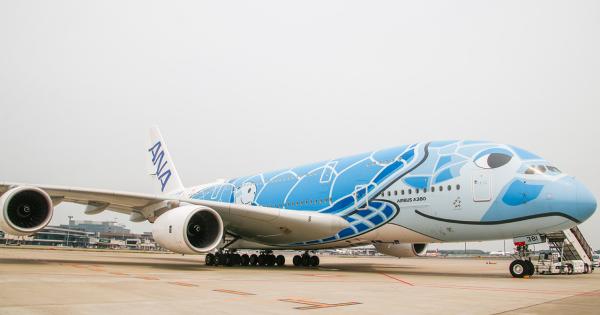 ANA「フライングホヌ」でハワイへ！エコノミー＆カウチシート詳細