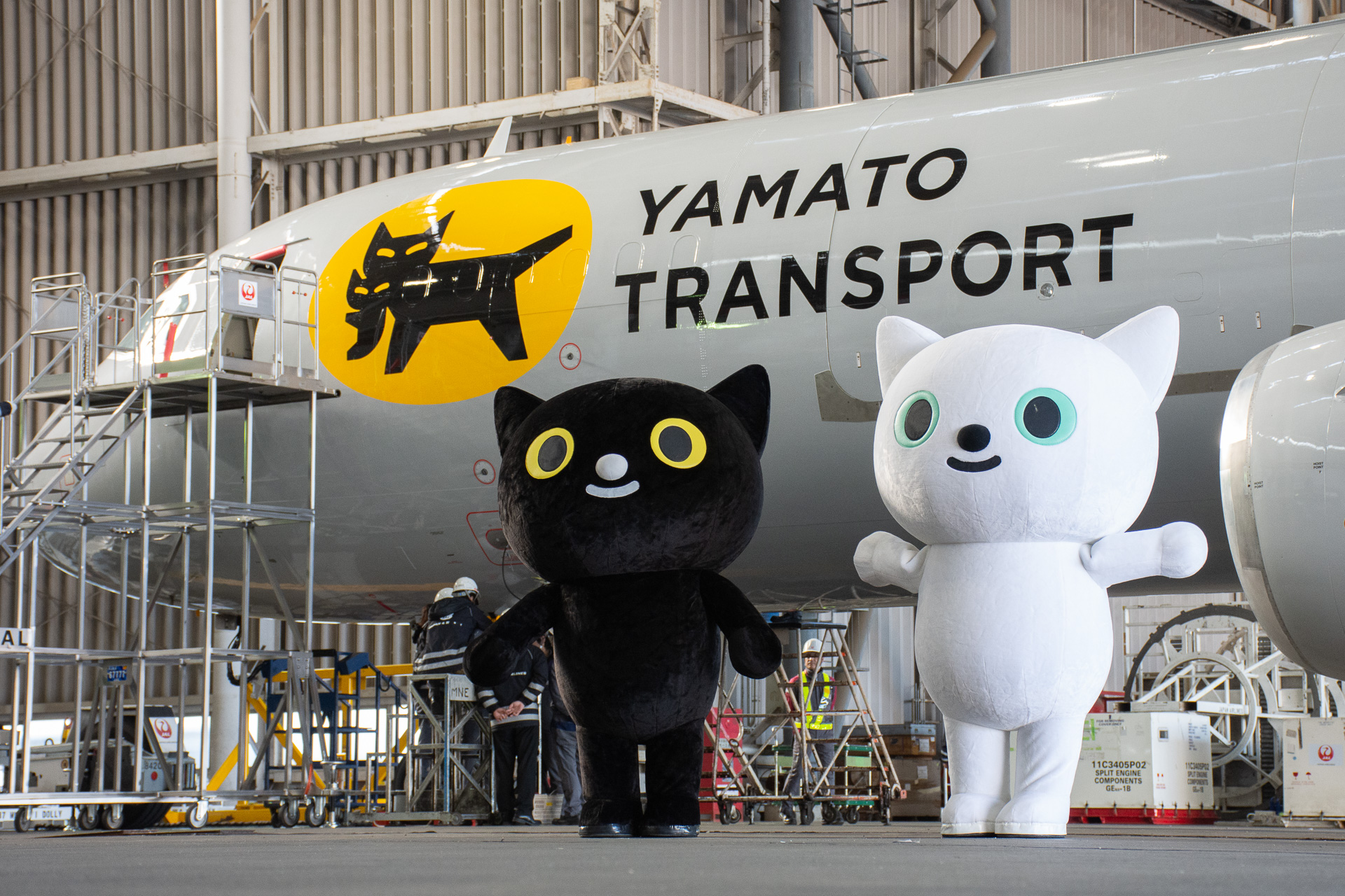 尾翼に子猫をくわえたクロネコ描く。“空飛ぶ宅急便”ヤマト×JALの航空