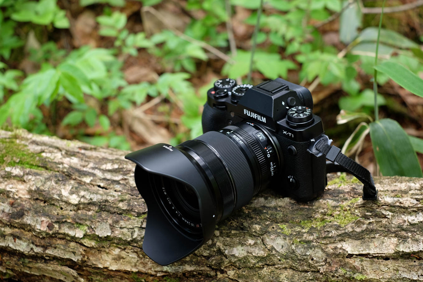 広角ズームレンズ FUJINON XF10-24mm F4 を購入 | Tokuvin Travel