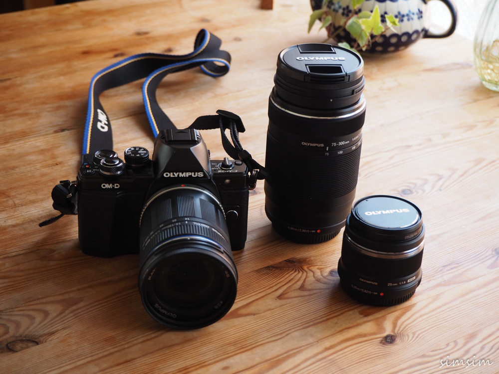 オリンパス ミラーレス一眼OM-D EM-5,EM-10で撮った写真を紹介！うちの