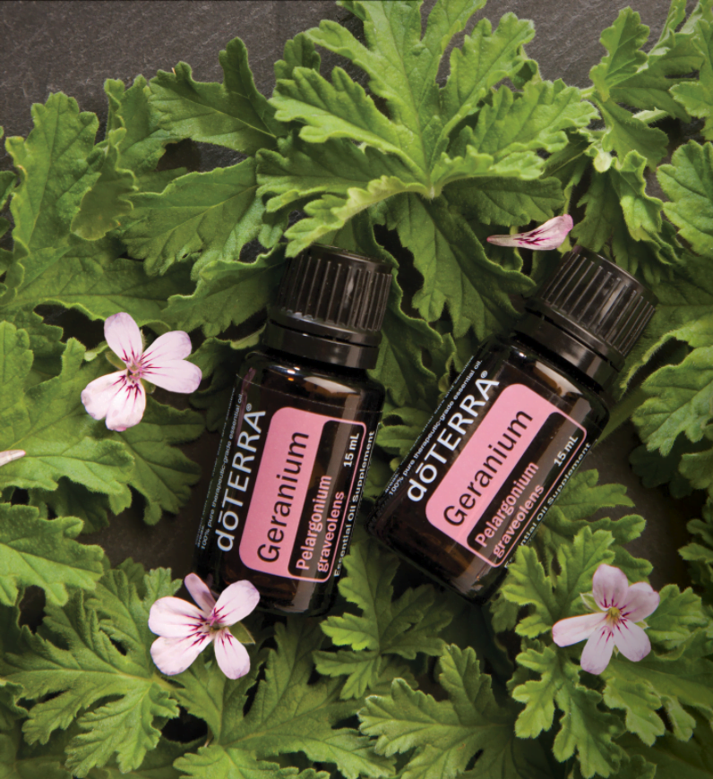 dōTERRA Geranium Essential Oil - 15ml - Trish Tucker May