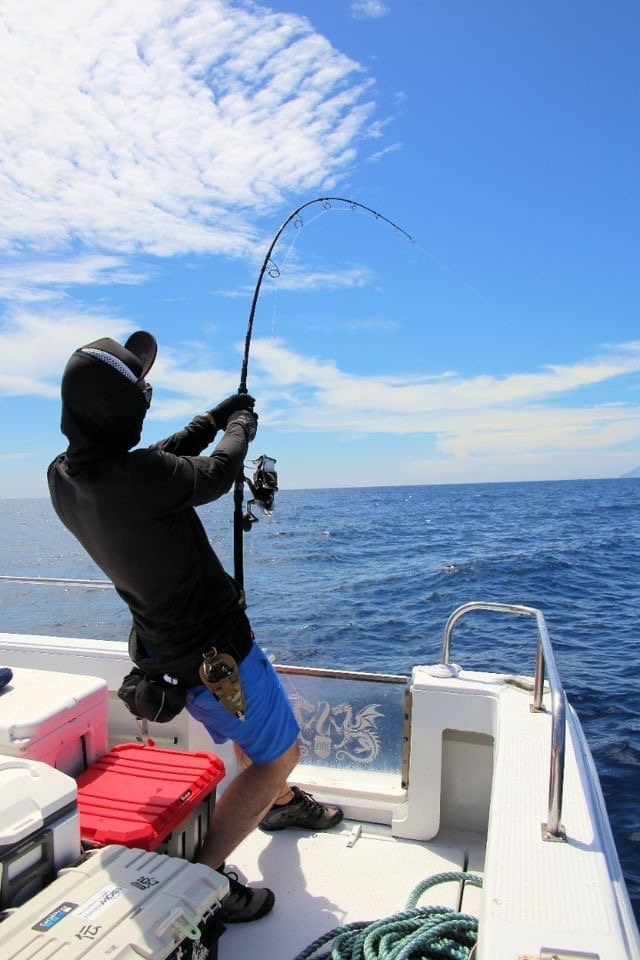 WhiteInsight 828 | TRUTH JAPAN