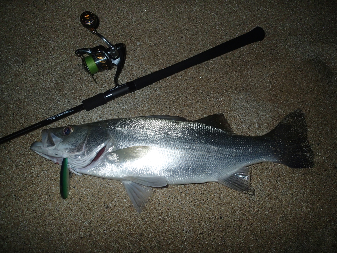 Permission 97SMH (SeaBass Spinning Model) | TRUTH JAPAN