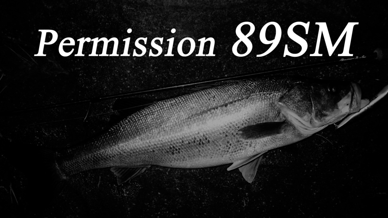 Permission 89SM (SeaBass Spinning Model) | TRUTH JAPAN