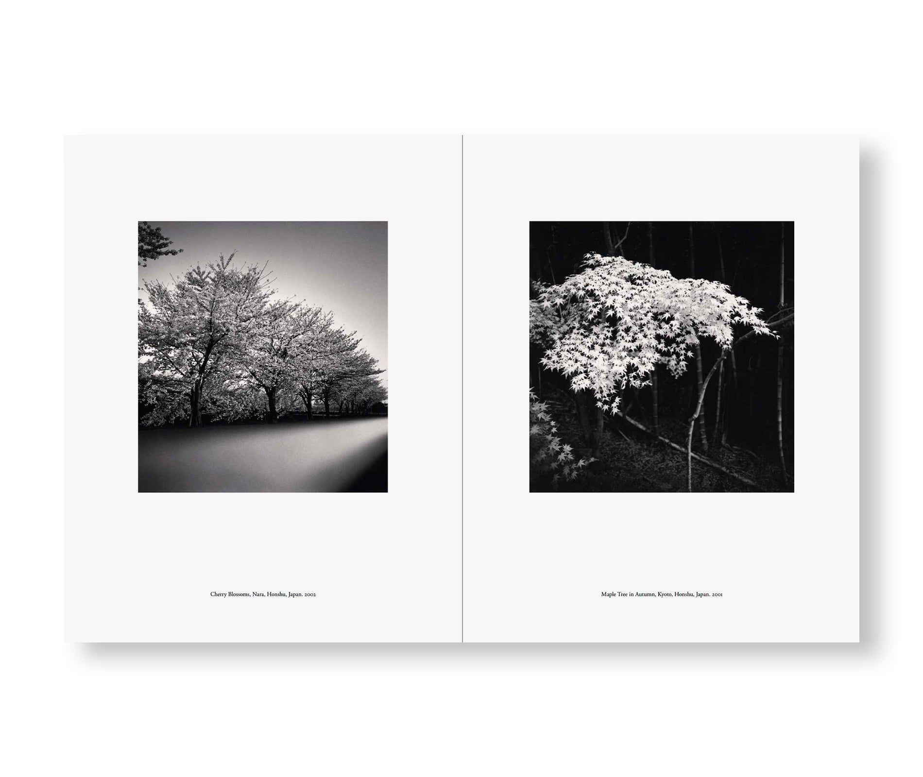 JAPAN | A LOVE STORY by Michael Kenna – twelvebooks