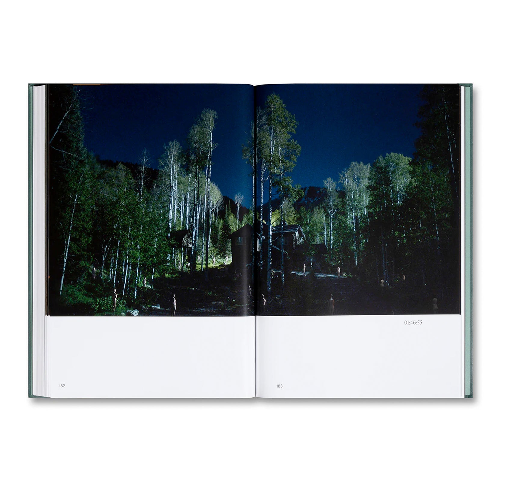 HEREDITARY SCREENPLAY BOOK by Ari Aster – twelvebooks