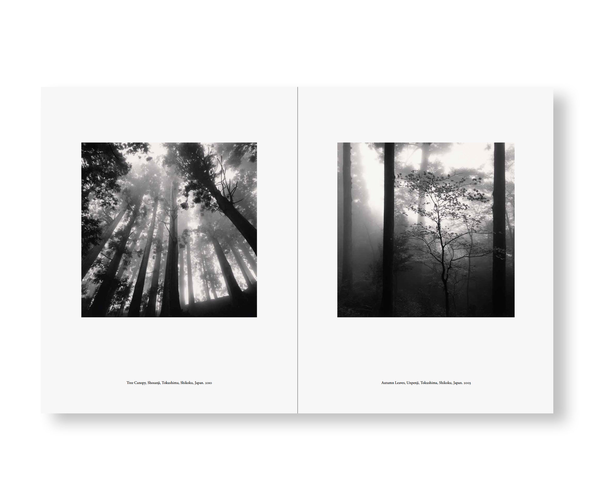 JAPAN | A LOVE STORY by Michael Kenna – twelvebooks