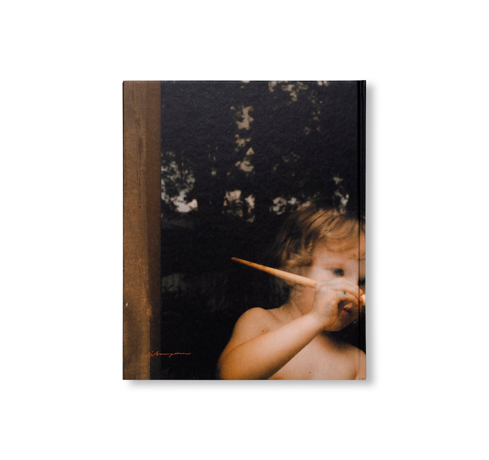 BEHIND GLASS by Lisa Sorgini – twelvebooks