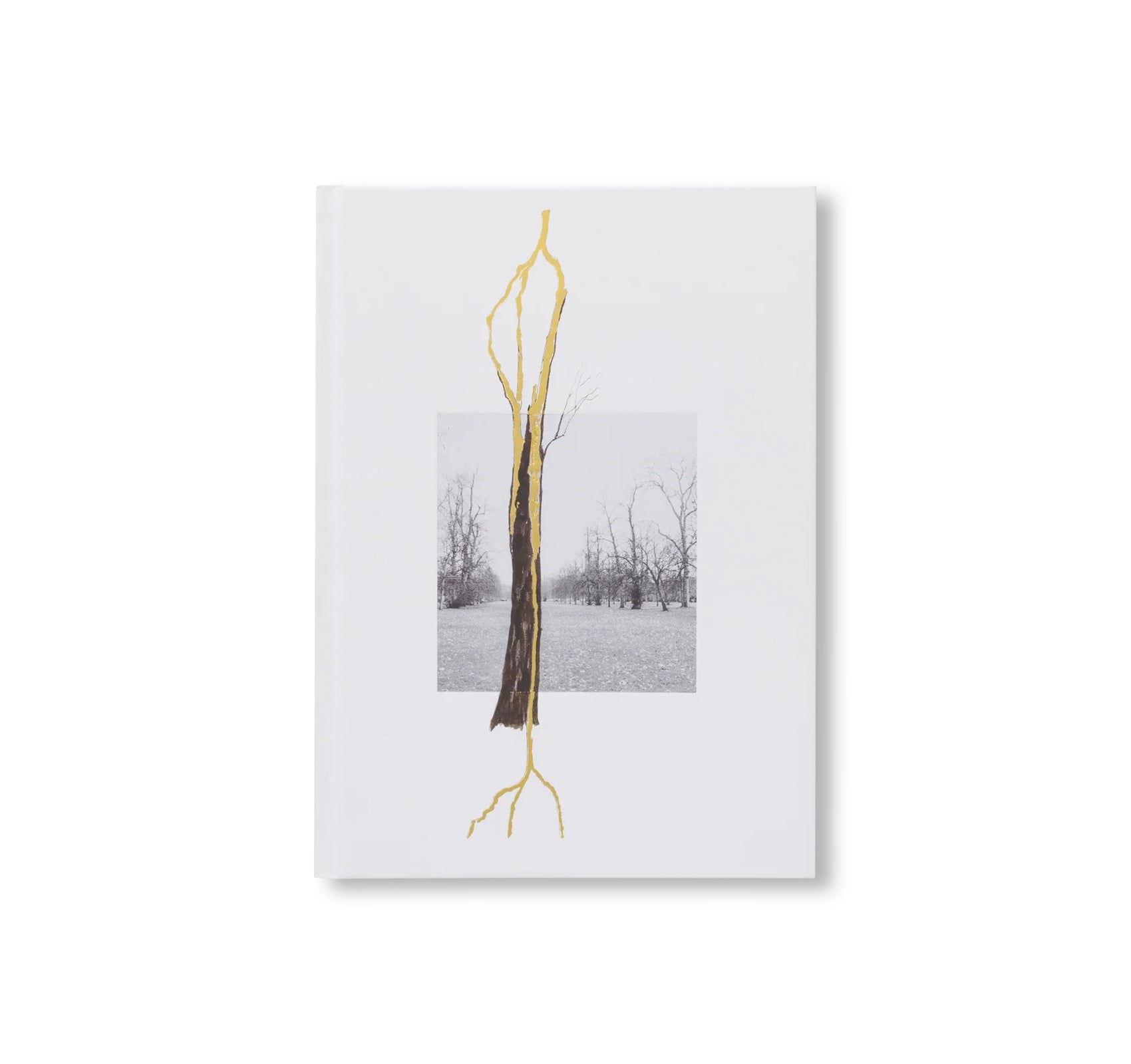 GIUSEPPE PENONE: THOUGHTS IN THE ROOTS by Giuseppe Penone