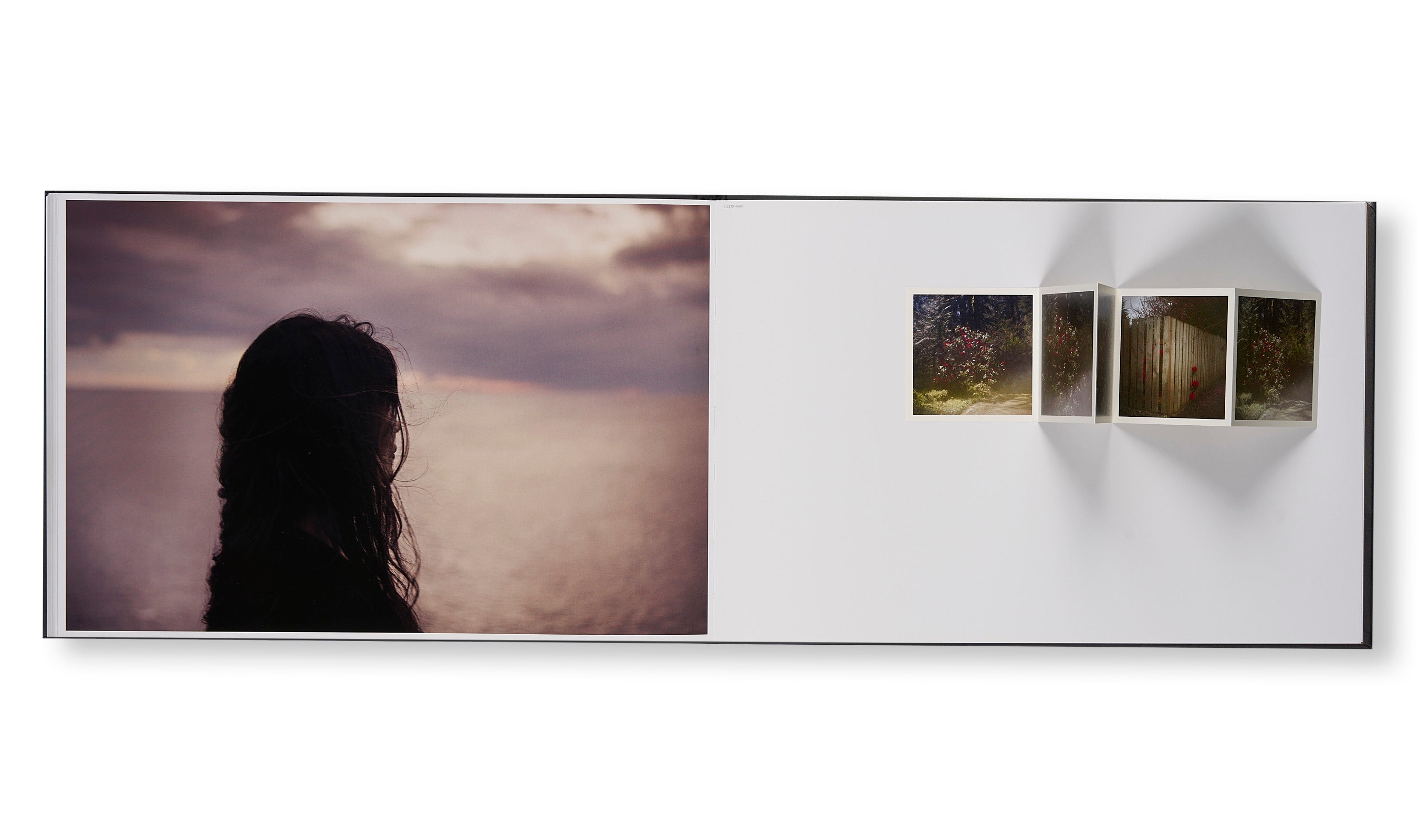 THE END SENDS ADVANCE WARNING by Todd Hido – twelvebooks