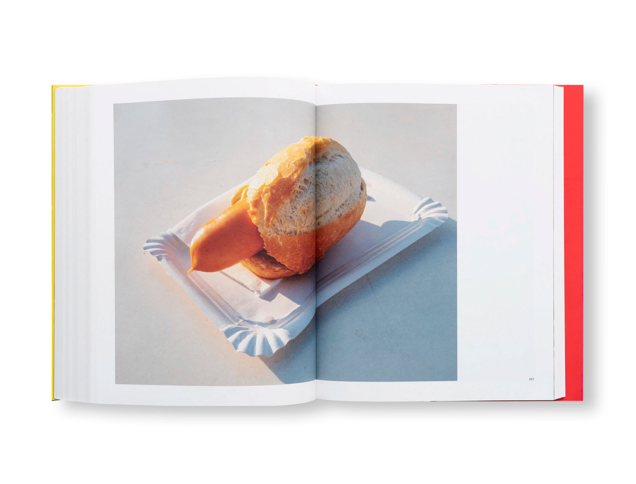 CHEZ WALTI PHOTOGRAPHS 2000–2022 by Walter Pfeiffer – twelvebooks