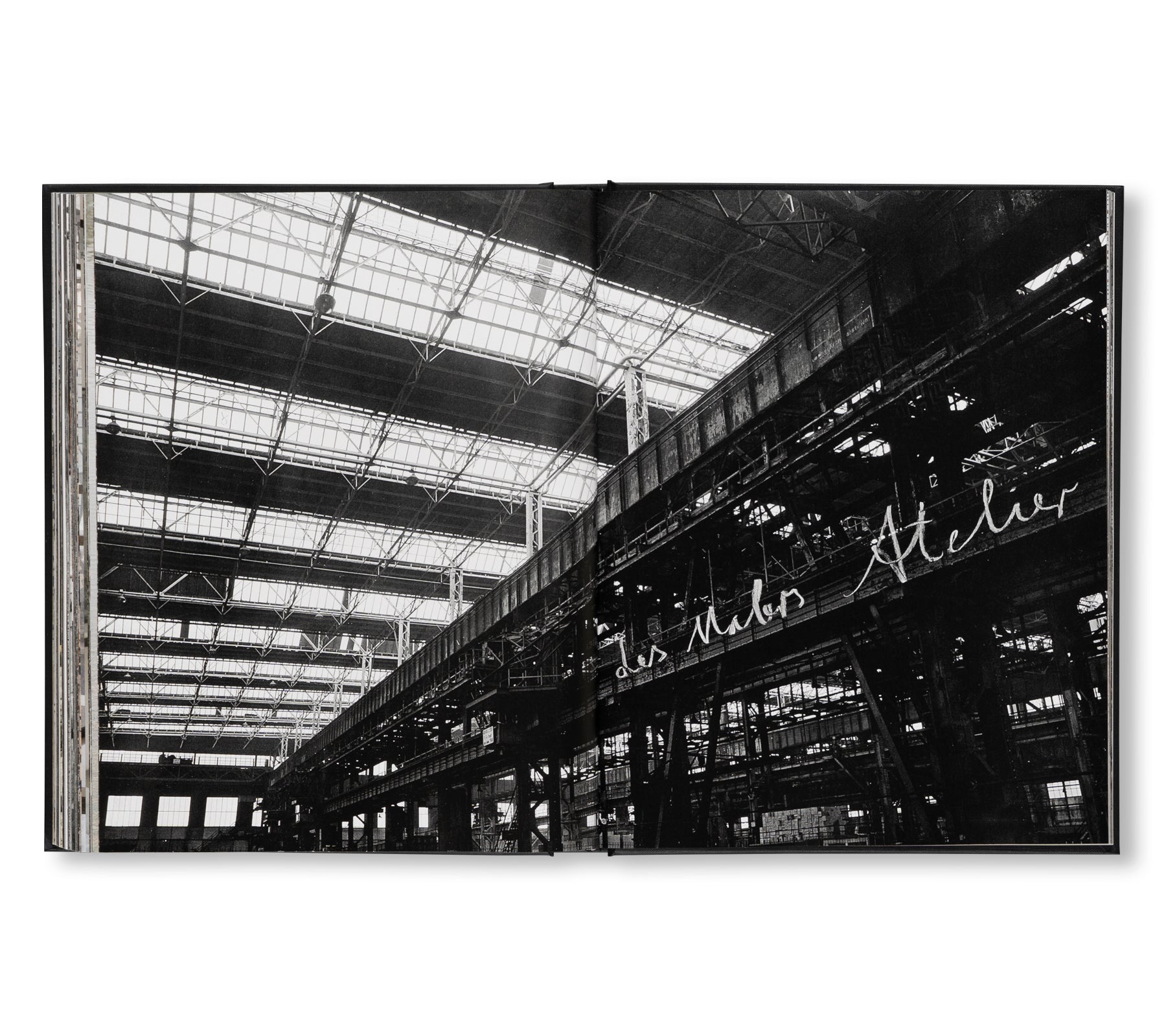 ANSELM KIEFER - STUDIOS by Danièle Cohn – twelvebooks