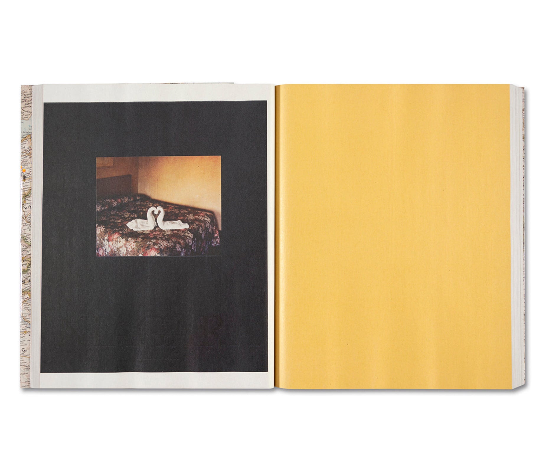 GATHERED LEAVES ANNOTATED by Alec Soth – twelvebooks