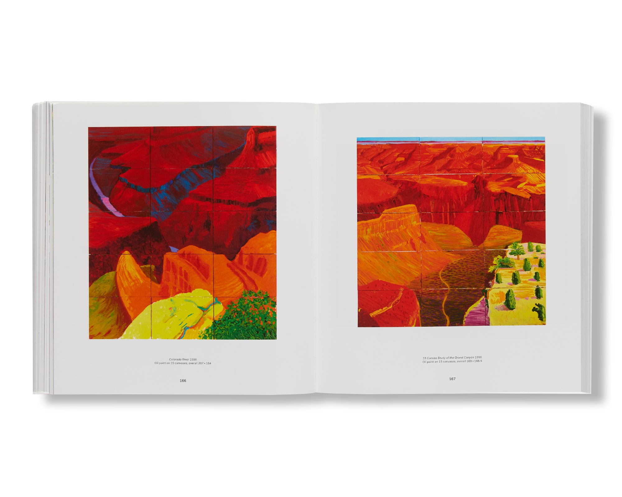 DAVID HOCKNEY by David Hockney – twelvebooks